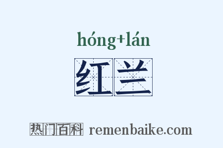 红兰是什么意思的图片
